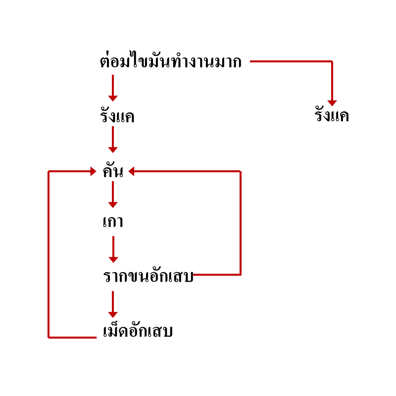 วงจรการเกิดปัญหาหนังศีรษะ PAN Pcosmed ศูนย์รวมโซลูชั่นด้านผิวหนังครบวงจร