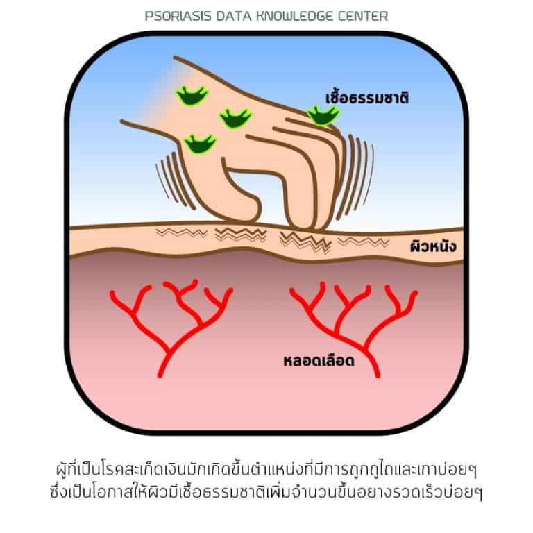 PAN Pcosmed ศูนย์รวมโซลูชั่นด้านผิวหนังครบวงจร