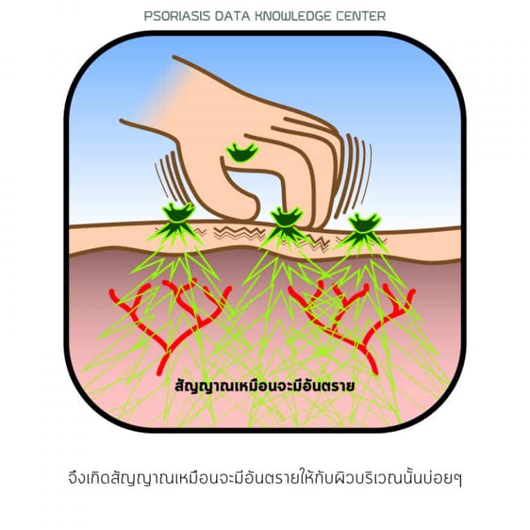 PAN Pcosmed ศูนย์รวมโซลูชั่นด้านผิวหนังครบวงจร