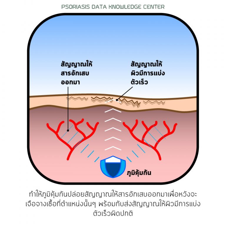 PAN Pcosmed ศูนย์รวมโซลูชั่นด้านผิวหนังครบวงจร