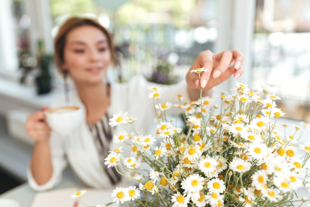 ดอกคาโมมายล์ (Chamomile) ประโยชน์ด้านสุขภาพ