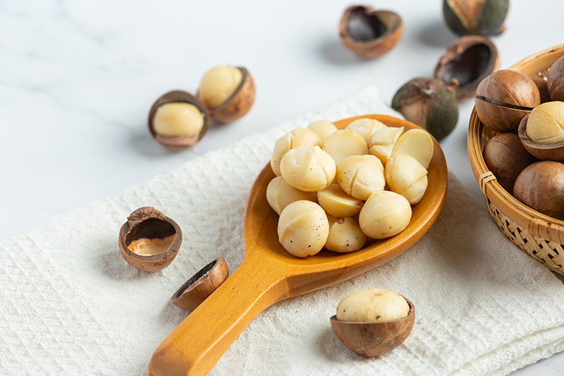 น้ำมันแมคาเดเมีย (Macadamia Oil) คืออะไร?