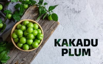 ผลคาคาดูพลัม (Kakadu Plum) คืออะไร?